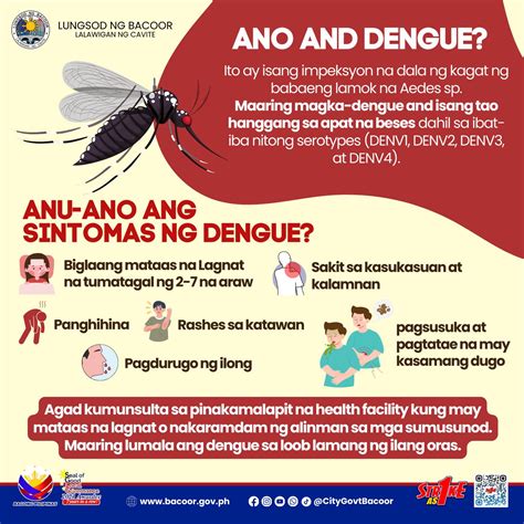 dengue clean up day sanhi at bunga|Paano malulunasan ang dengue at maiiwasan ang .